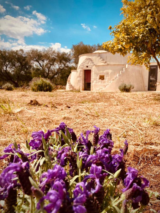 奥斯图尼Trulli Acquasala - Apulian Country Experience别墅 外观 照片