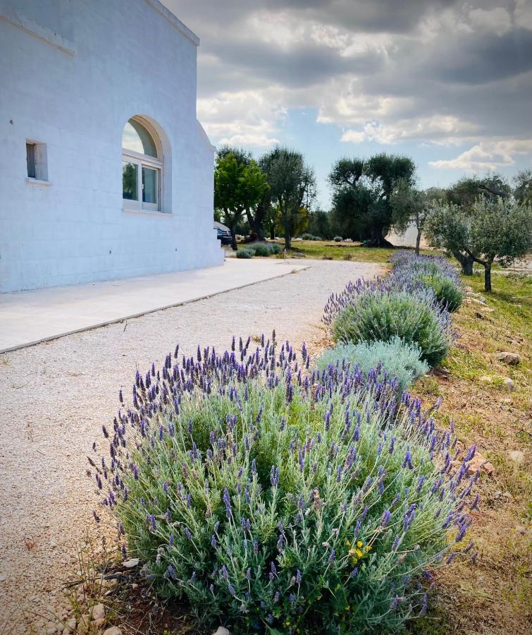 奥斯图尼Trulli Acquasala - Apulian Country Experience别墅 外观 照片