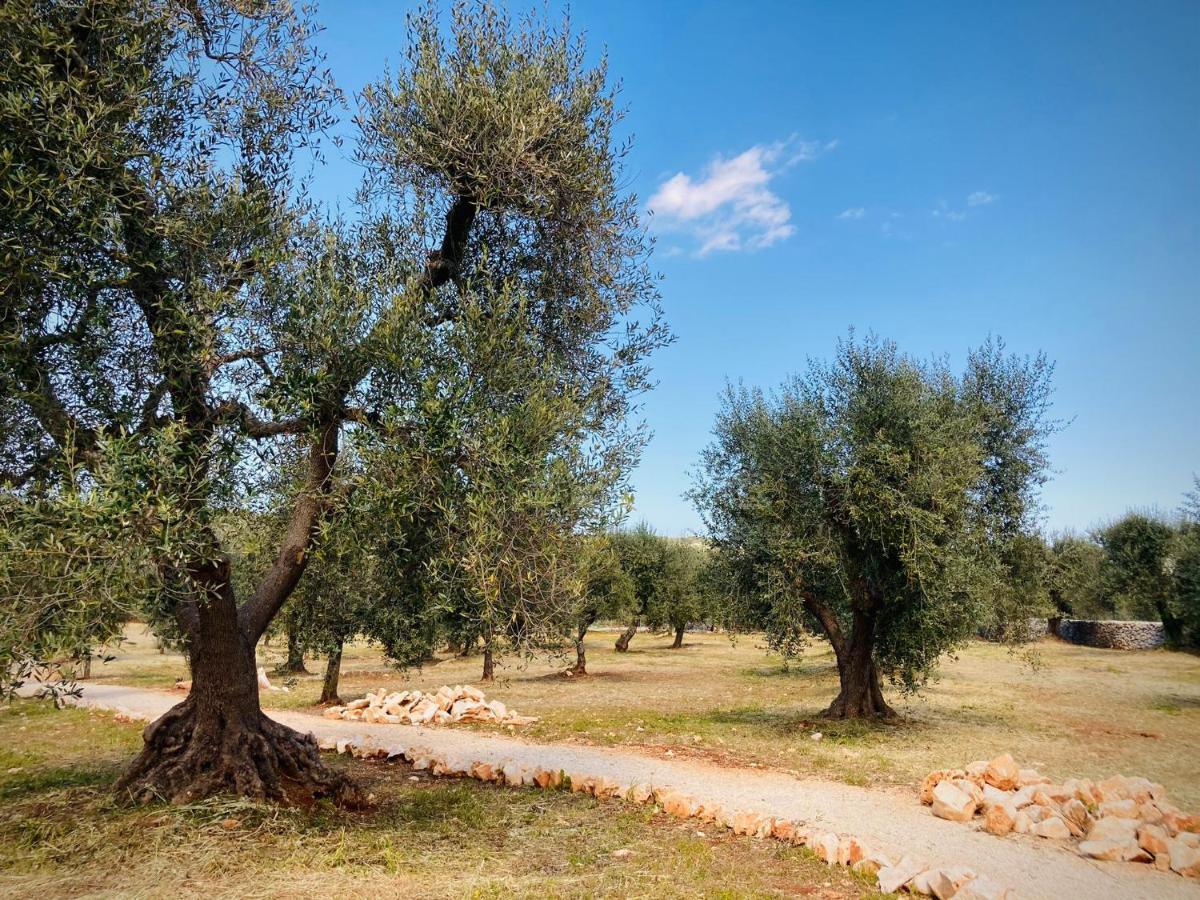 奥斯图尼Trulli Acquasala - Apulian Country Experience别墅 外观 照片