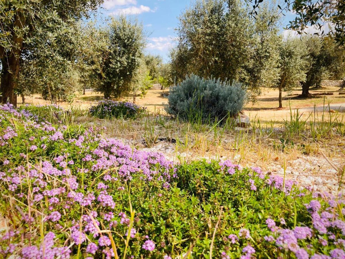 奥斯图尼Trulli Acquasala - Apulian Country Experience别墅 外观 照片
