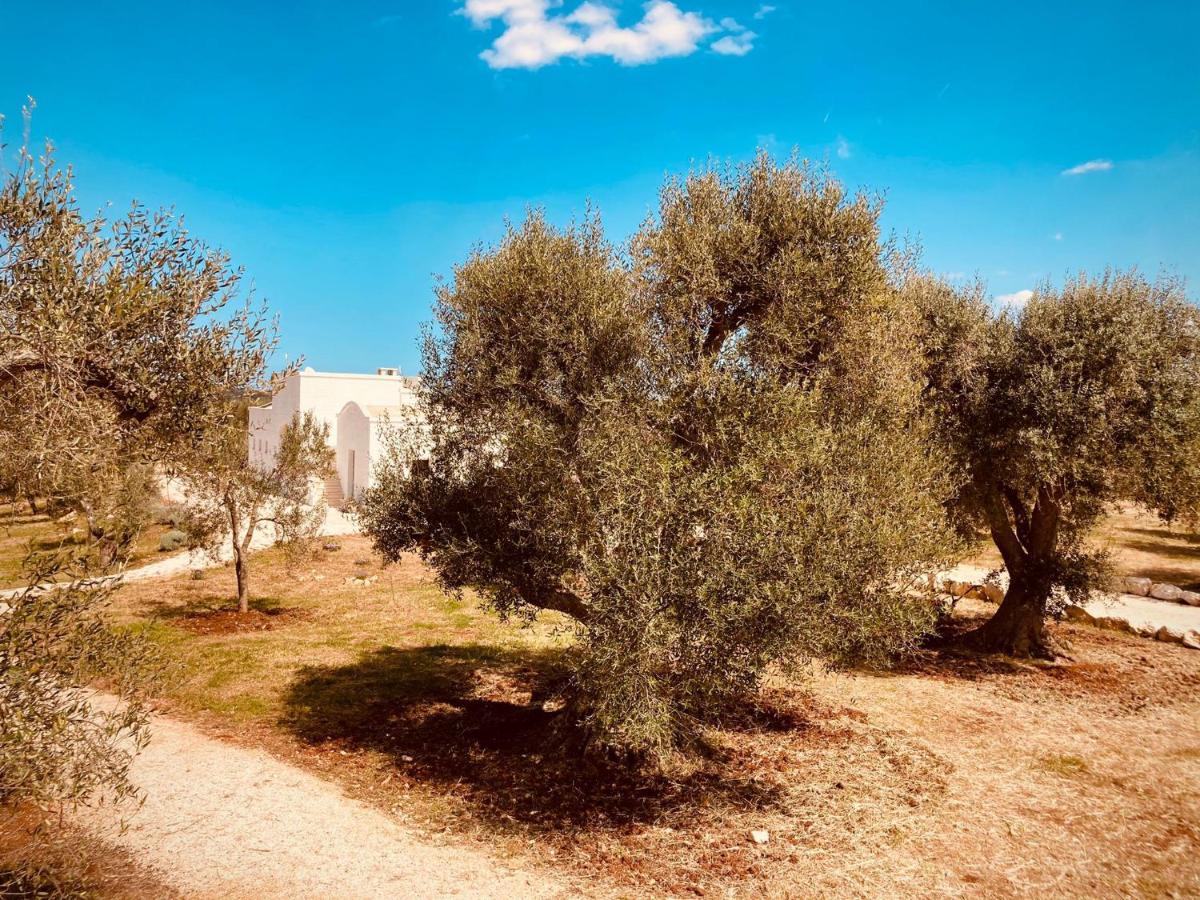 奥斯图尼Trulli Acquasala - Apulian Country Experience别墅 外观 照片
