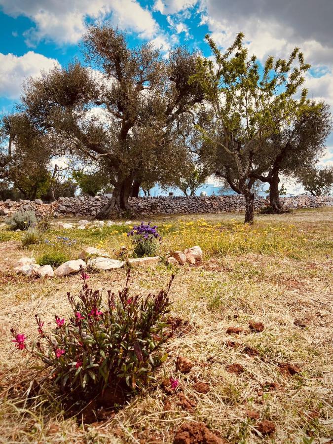奥斯图尼Trulli Acquasala - Apulian Country Experience别墅 外观 照片