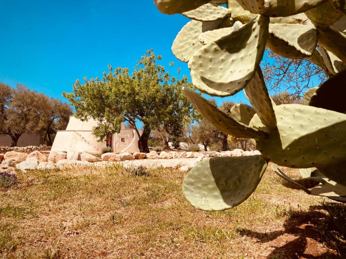 奥斯图尼Trulli Acquasala - Apulian Country Experience别墅 外观 照片