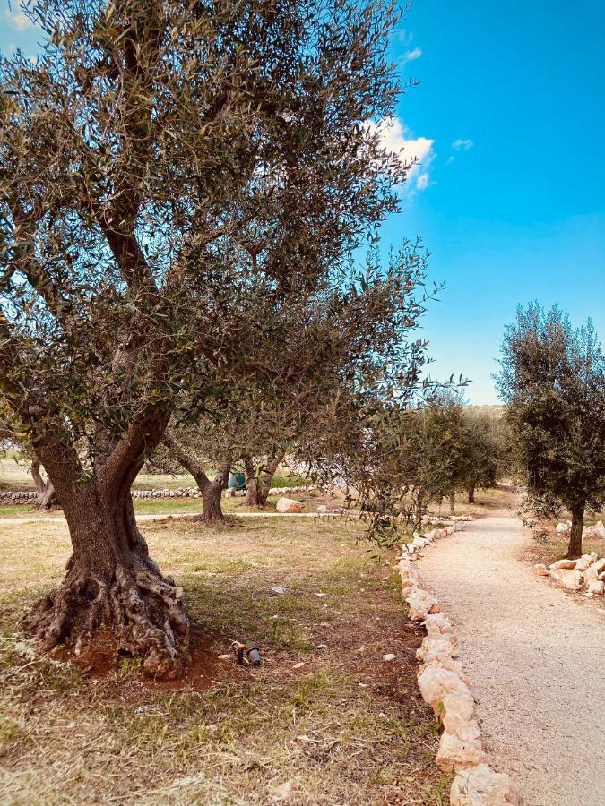 奥斯图尼Trulli Acquasala - Apulian Country Experience别墅 外观 照片